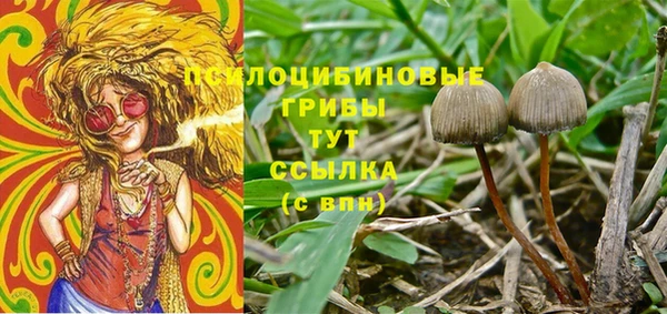 гидра Алзамай